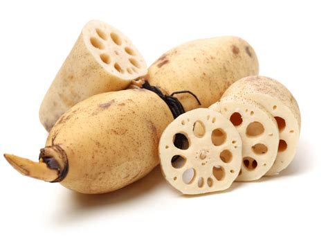Lotus Root/Patch .